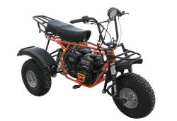 Большая Картинка