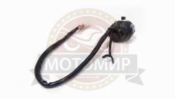 Большая Картинка