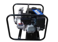 Большая Картинка