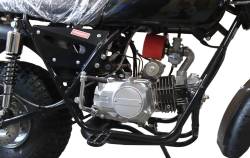 Большая Картинка