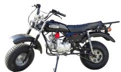 Большая Картинка