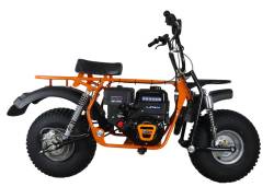 Большая Картинка