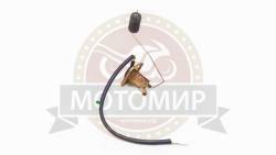 Большая Картинка