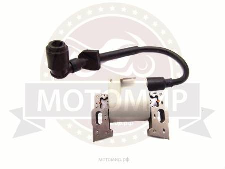 Большая Картинка