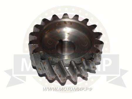 Большая Картинка