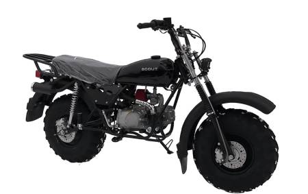 Большая Картинка