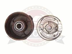 Большая Картинка