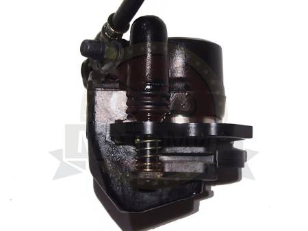 Большая Картинка