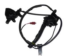 Большая Картинка