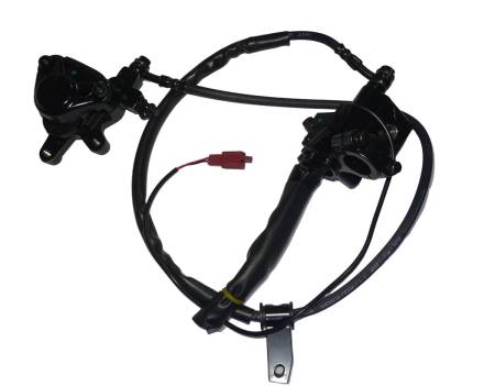 Большая Картинка