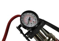 Большая Картинка