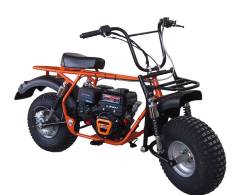 Большая Картинка