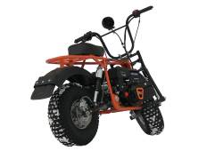 Большая Картинка