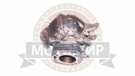 Большая Картинка