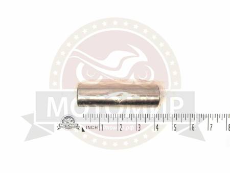 Большая Картинка