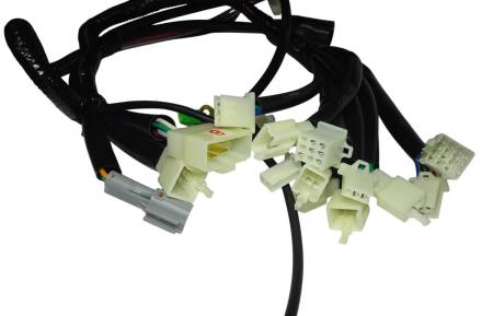 Большая Картинка