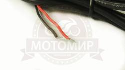 Большая Картинка