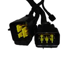 Большая Картинка