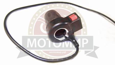 Большая Картинка