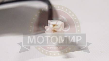 Большая Картинка