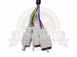 Большая Картинка