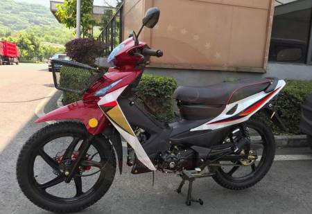 Большая Картинка