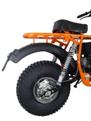 Большая Картинка