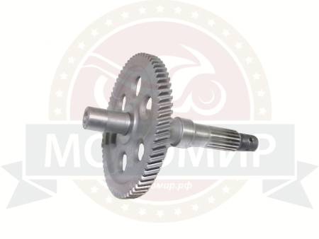 Большая Картинка