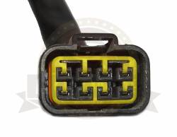 Большая Картинка