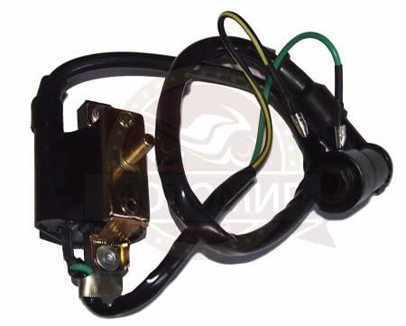 Большая Картинка