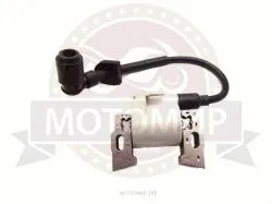 Большая Картинка