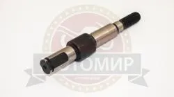 Большая Картинка