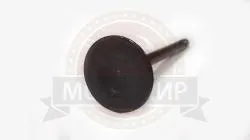 Большая Картинка