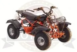 Большая Картинка