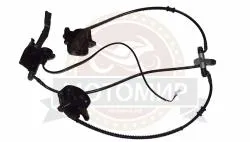 Большая Картинка