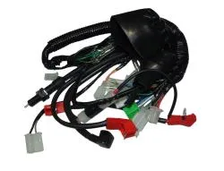 Большая Картинка