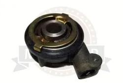 Большая Картинка