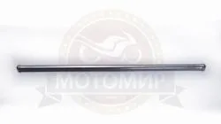 Большая Картинка