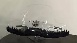 Большая Картинка