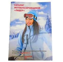 Большая Картинка