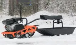 Большая Картинка