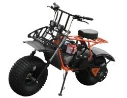 Большая Картинка