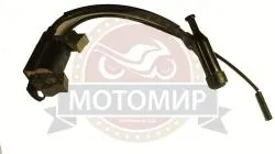 Большая Картинка