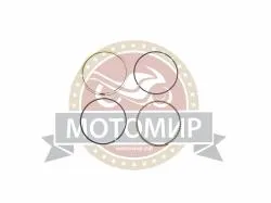 Большая Картинка