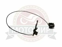 Большая Картинка