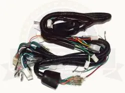 Большая Картинка