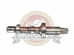 Большая Картинка