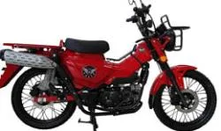 Большая Картинка