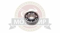 Большая Картинка