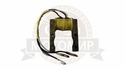 Большая Картинка